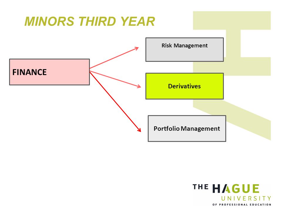 MINORS THIRD YEAR Risk Management FINANCE Derivatives Portfolio Management