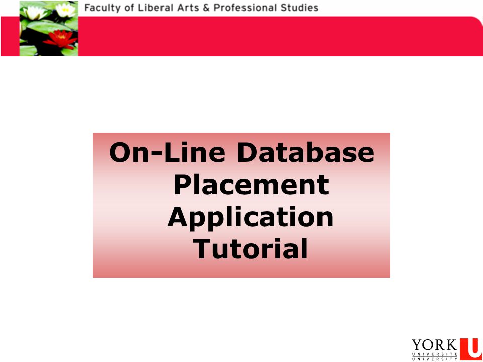 On-Line Database Placement Application Tutorial