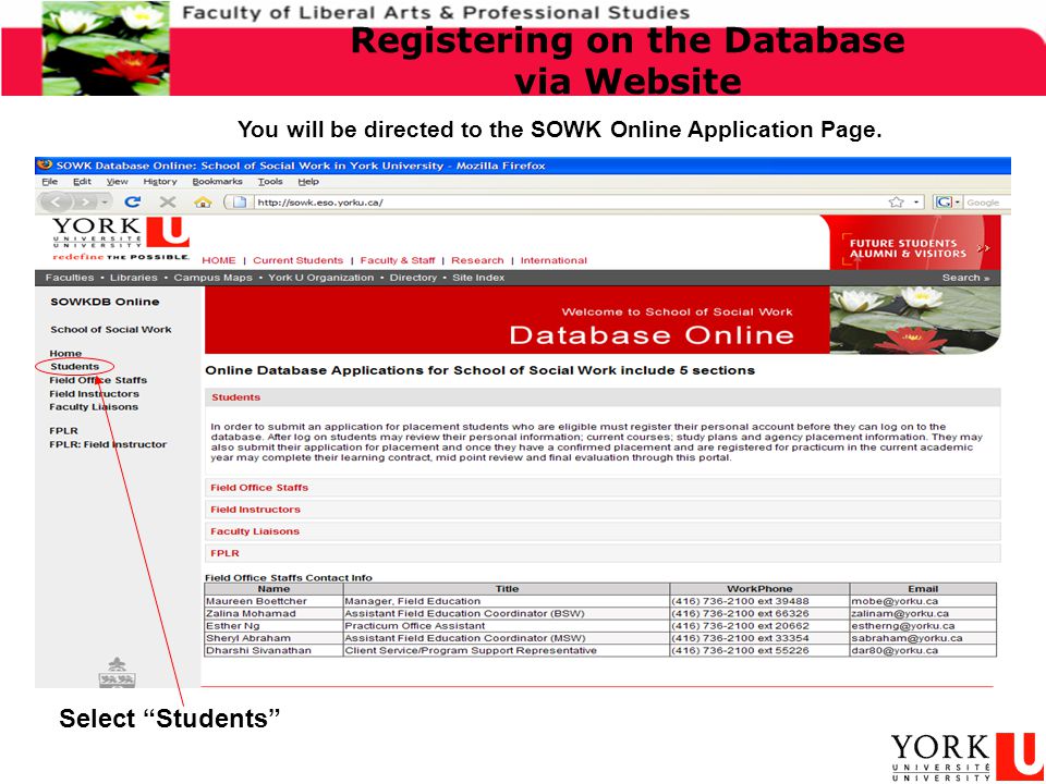 You will be directed to the SOWK Online Application Page.
