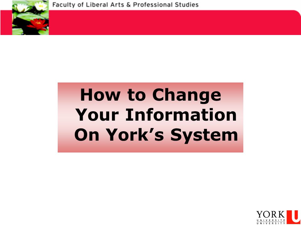 How to Change Your Information On York’s System