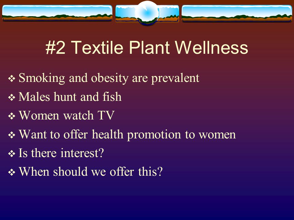 #2 Textile Plant Wellness  Smoking and obesity are prevalent  Males hunt and fish  Women watch TV  Want to offer health promotion to women  Is there interest.