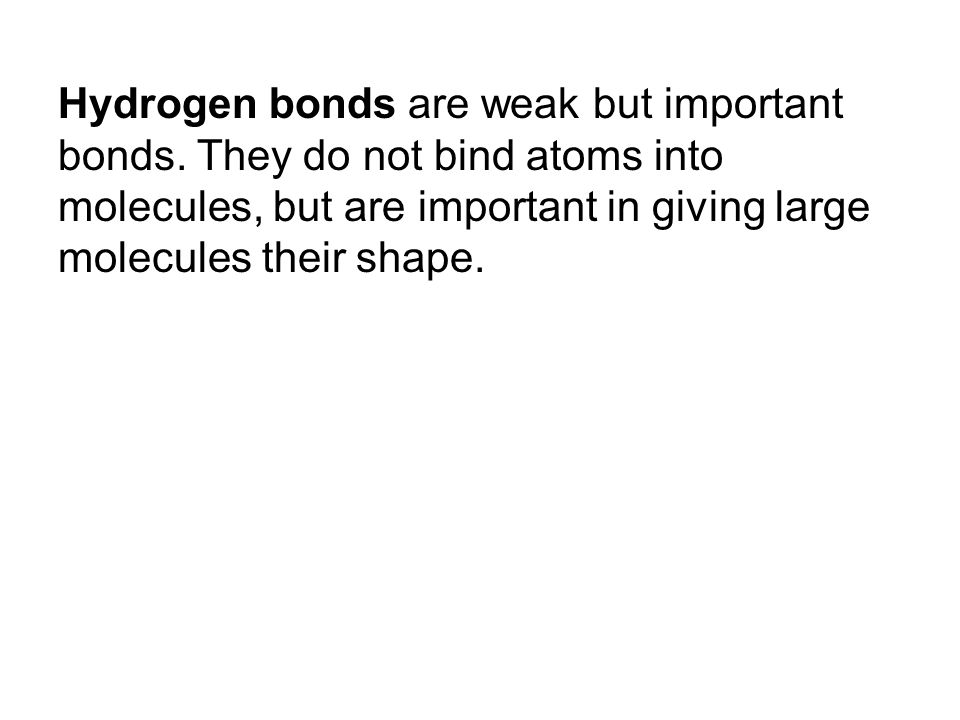Hydrogen bonds are weak but important bonds.