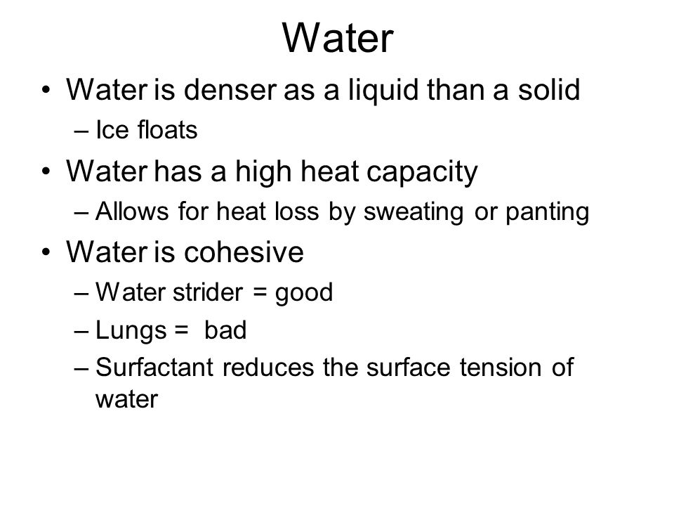 Water Water is denser as a liquid than a solid –Ice floats Water has a high heat capacity –Allows for heat loss by sweating or panting Water is cohesive –Water strider = good –Lungs = bad –Surfactant reduces the surface tension of water