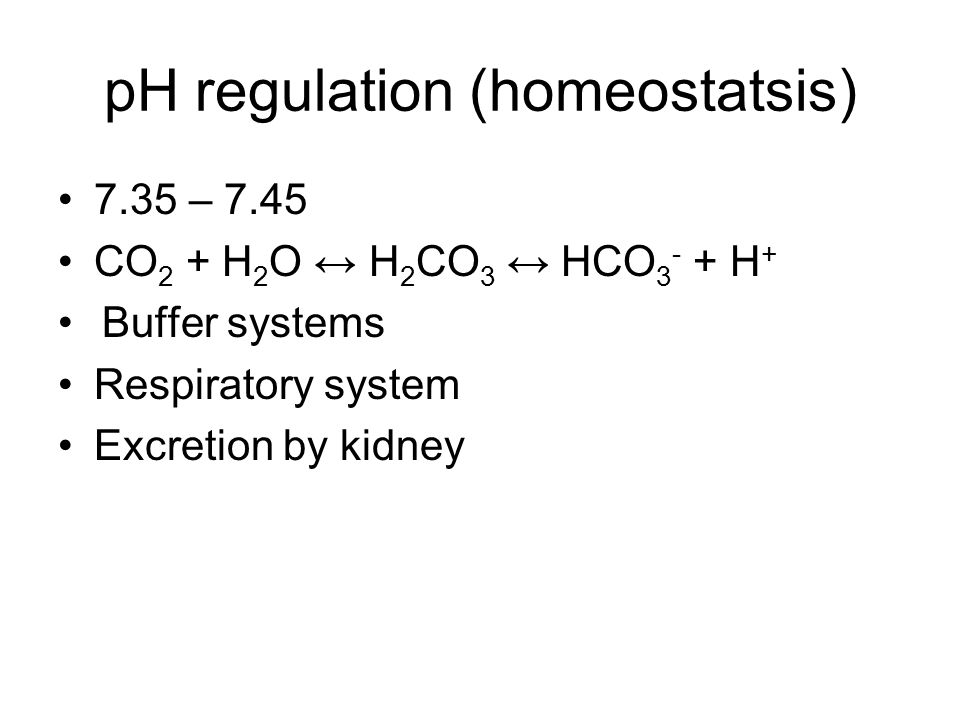 pH regulation (homeostatsis) 7.35 – 7.45 CO 2 + H 2 O ↔ H 2 CO 3 ↔ HCO H + Buffer systems Respiratory system Excretion by kidney