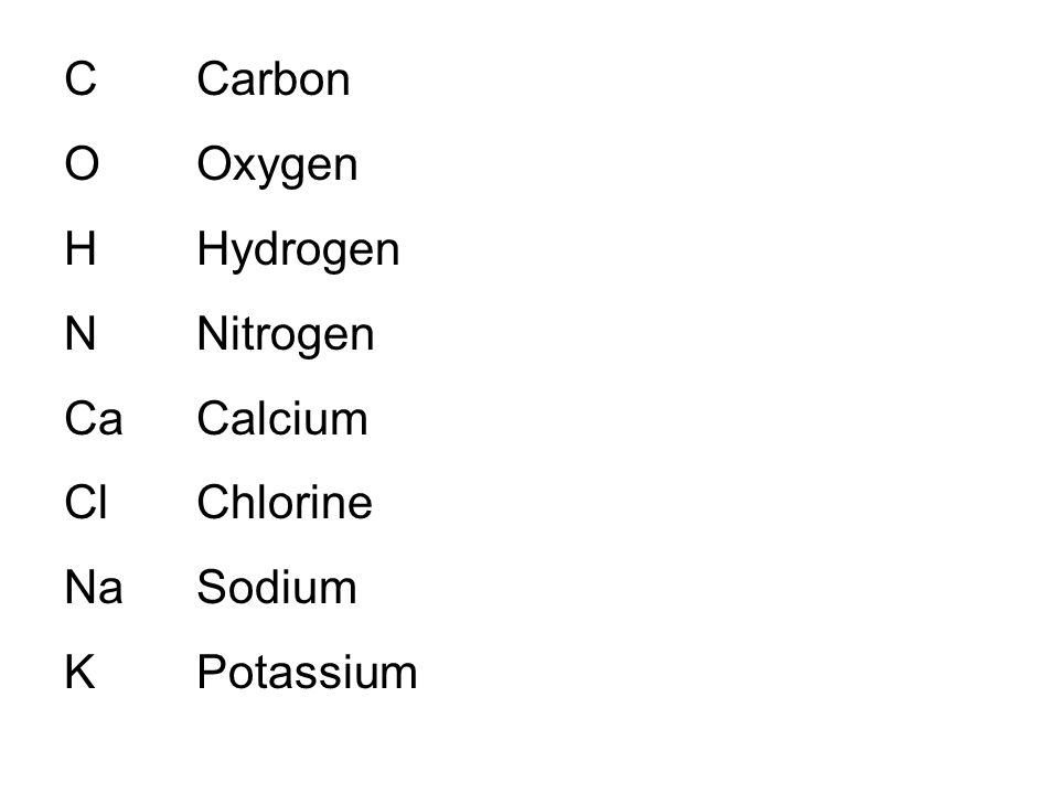 C O H N Ca Cl Na K Carbon Oxygen Hydrogen Nitrogen Calcium Chlorine Sodium Potassium
