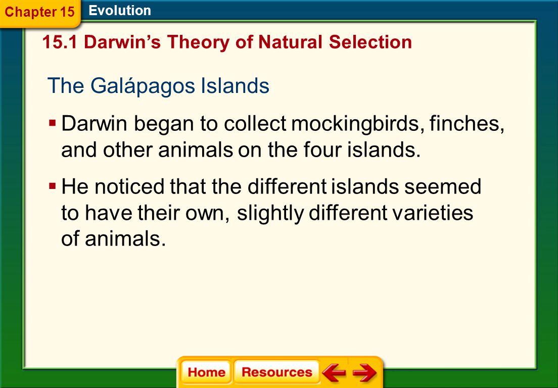 Free Worksheet Evidence Of Evolution Worksheet evidence for evolution worksheet answers templates and worksheets worksheets