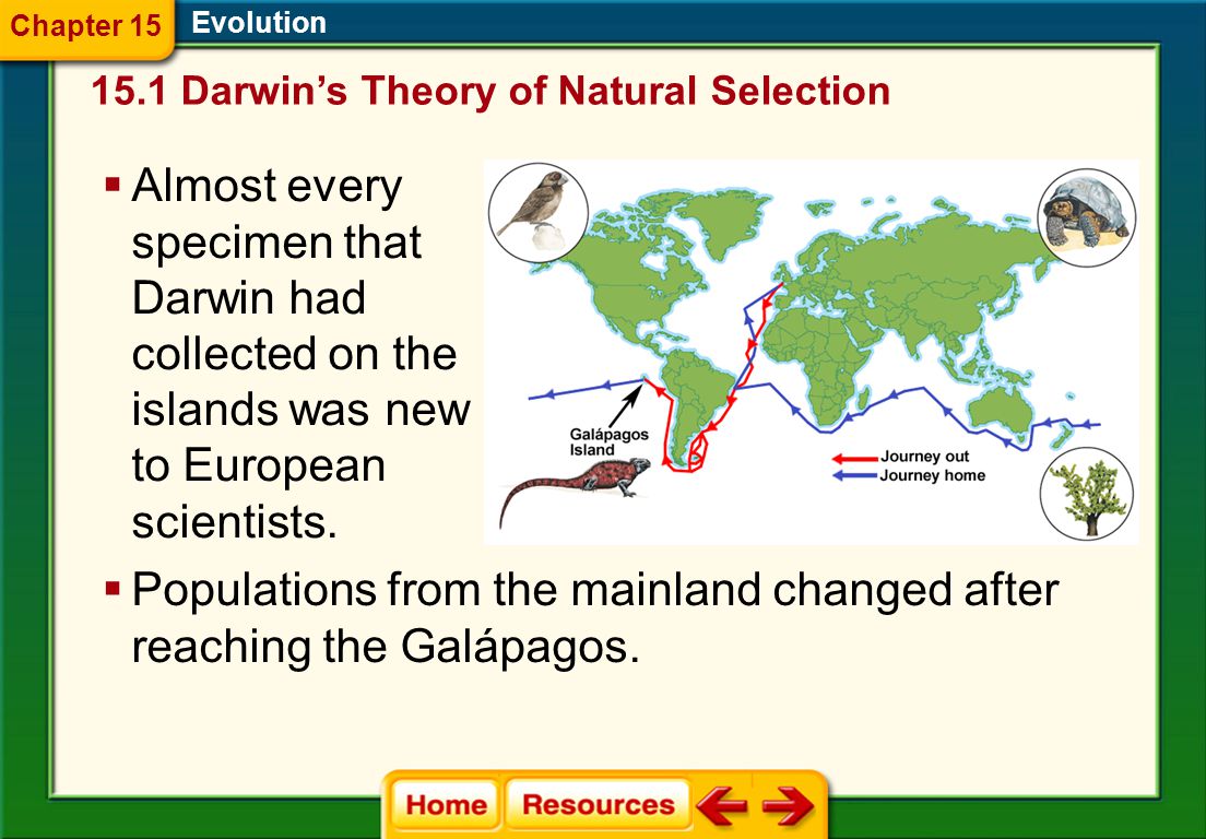 Introduction To Animals Skills Worksheet Answers Worksheets For Natural Selection Worksheets Laveyla Com