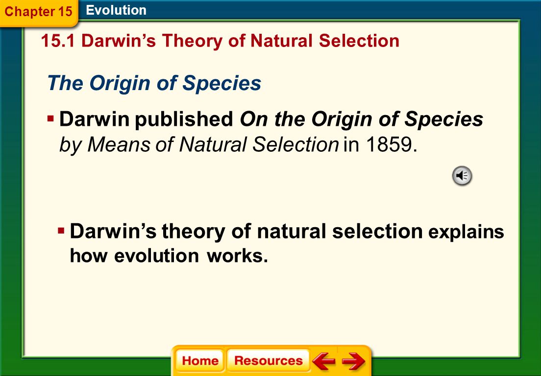 Evolution Worksheet 1 Design Com Natural Selection And Evidence Of Evolution Worksheet S Section 1 Darwin By Source