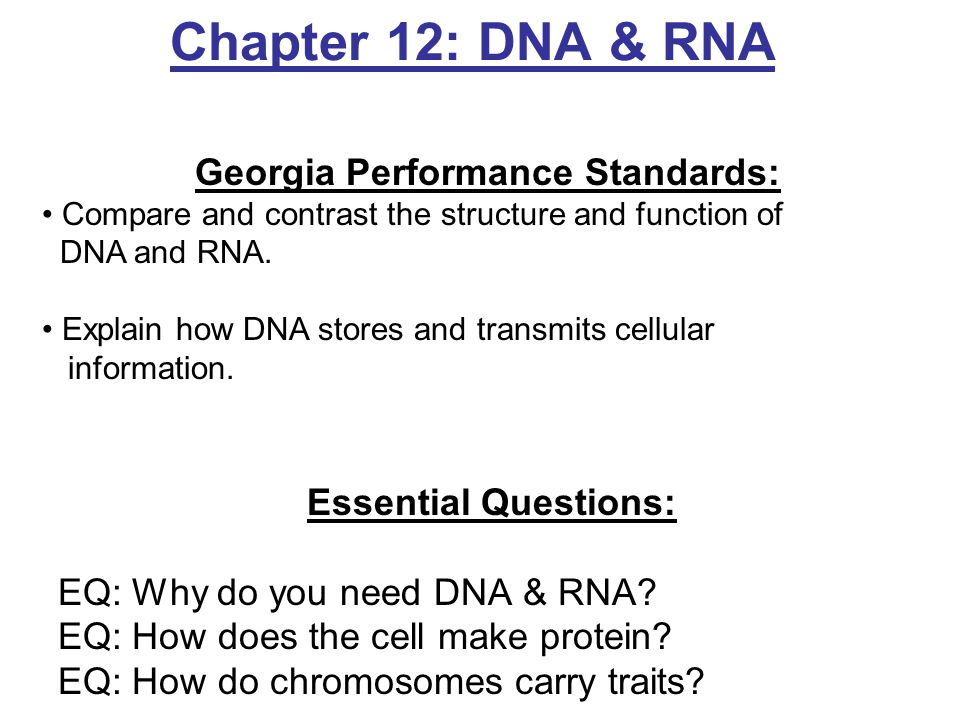 molecular genetics essay question Previous ib exam essay questions: unit 4 use these model essay question responses to prepare for essay questions on your in class tests, as well as the ib examination, paper 2. molecular genetics essay question Previous ib exam essay questions: unit 4 use these model essay question responses to prepare for essay questions on your in class tests, as well as the ib examination, paper 2.