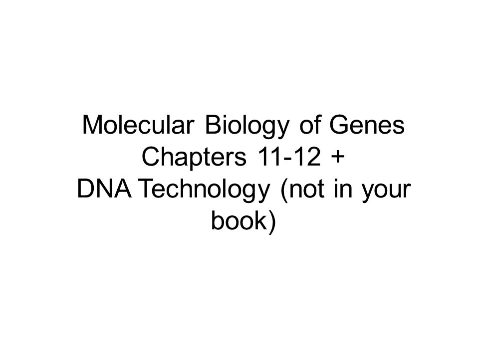 Molecular Biology of Genes Chapters DNA Technology (not in your book)