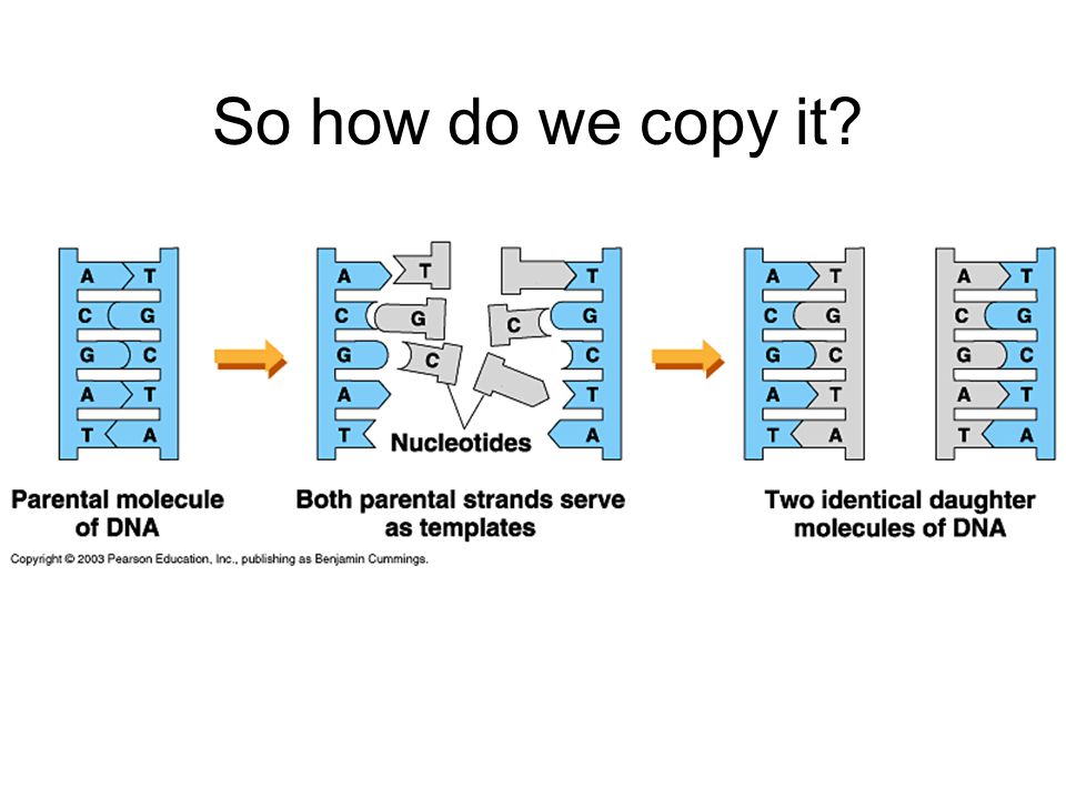 So how do we copy it