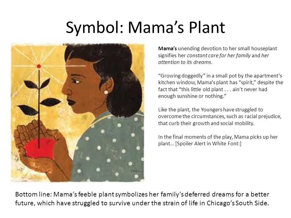 A Raisin In The Sun Symbols Chart