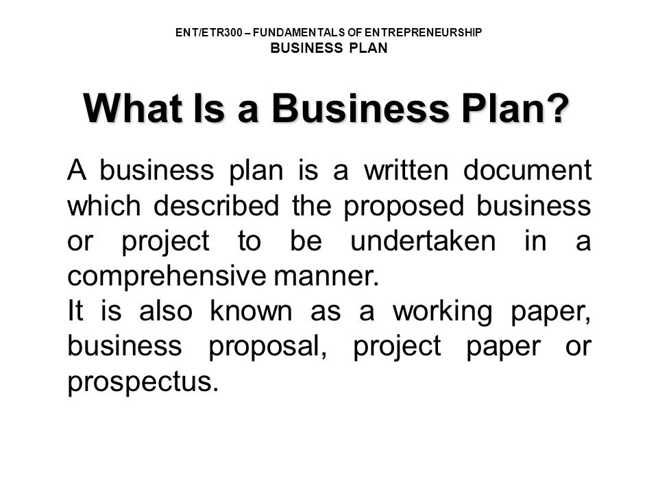 What business plan