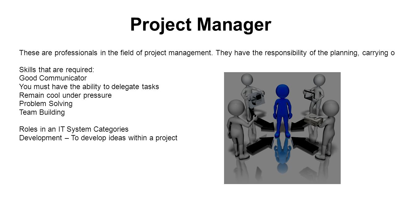 Project Manager These are professionals in the field of project management.