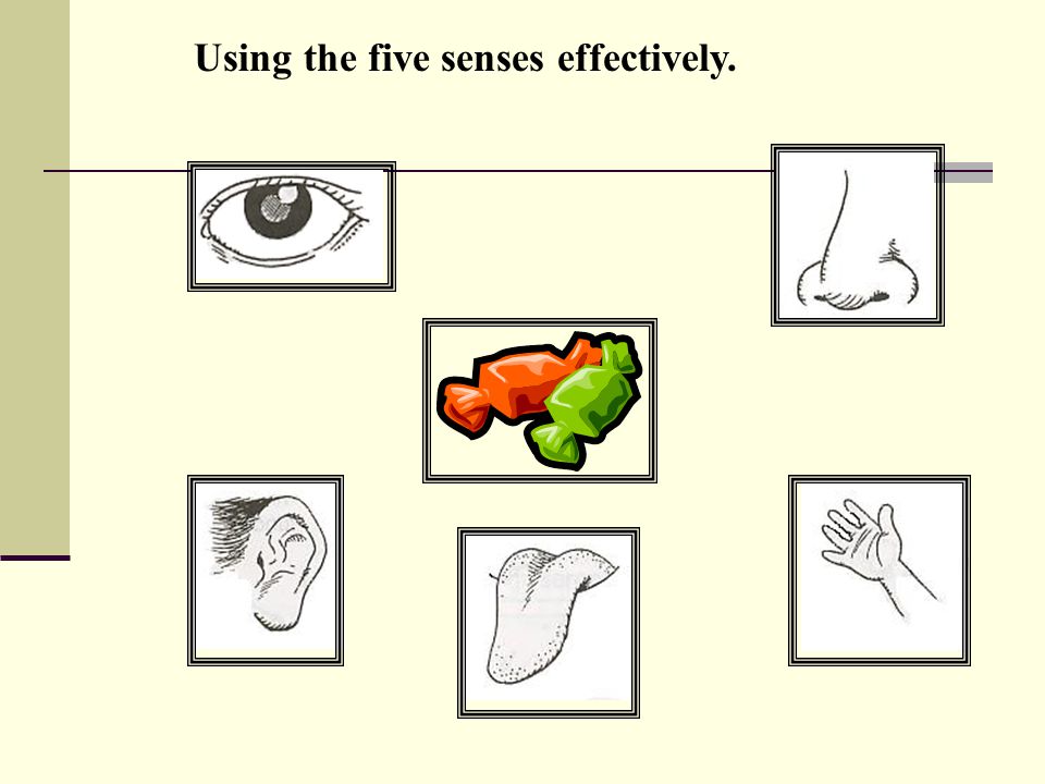 1.Using the five senses effectively.