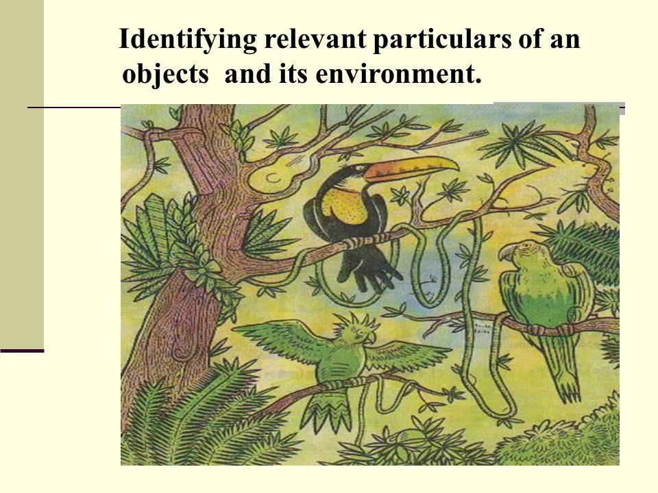 2. Identifying relevant particulars of an objects and its environment.