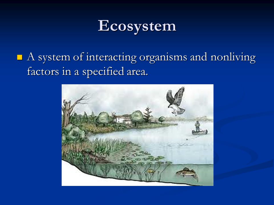 Ecosystem A system of interacting organisms and nonliving factors in a specified area.