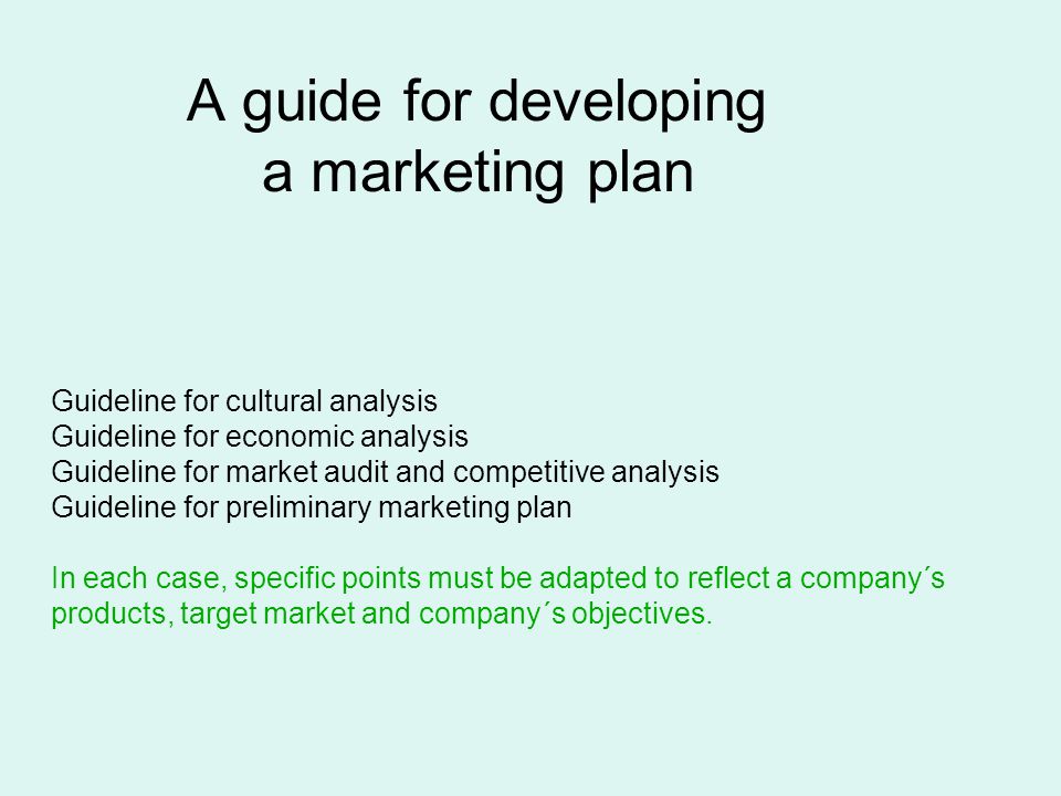 A guide for developing a marketing plan Guideline for cultural analysis Guideline for economic analysis Guideline for market audit and competitive analysis Guideline for preliminary marketing plan In each case, specific points must be adapted to reflect a company´s products, target market and company´s objectives.