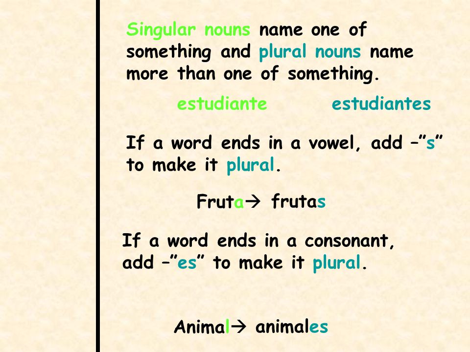 Singular nouns name one of something and plural nouns name more than one of something.