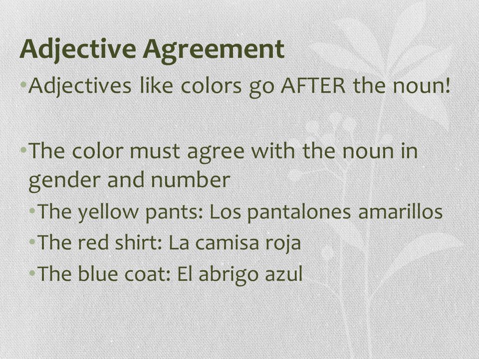 Adjective Agreement Adjectives like colors go AFTER the noun.