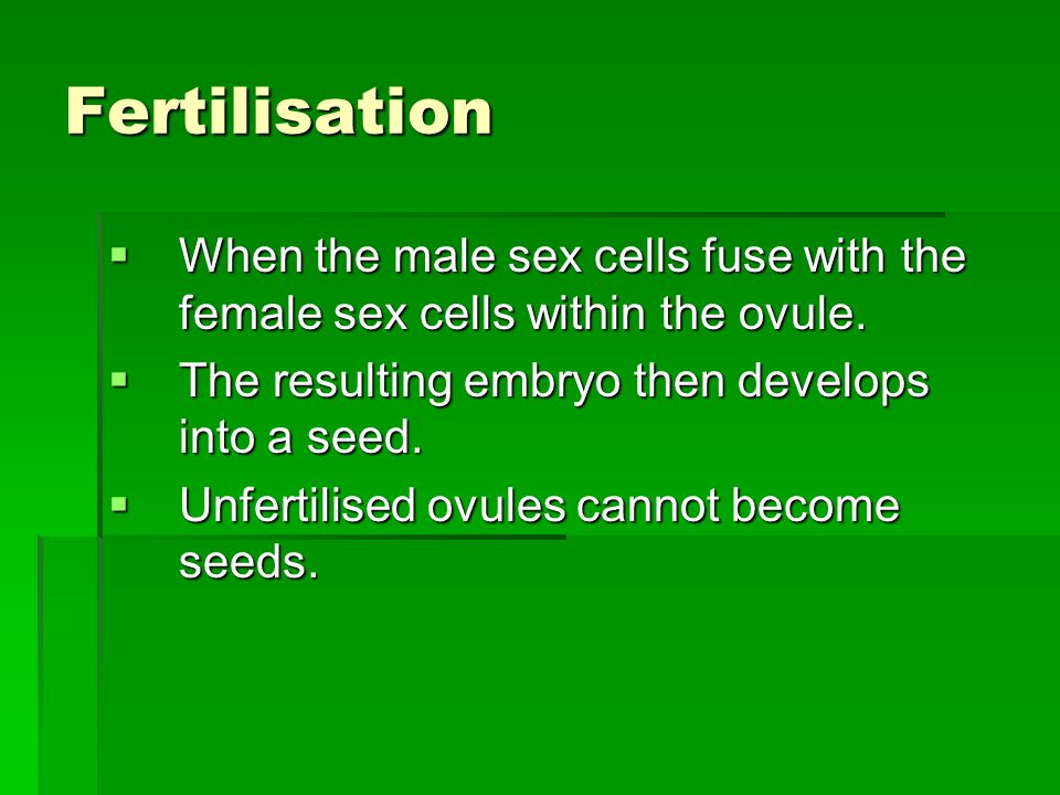 Fertilisation  When the male sex cells fuse with the female sex cells within the ovule.
