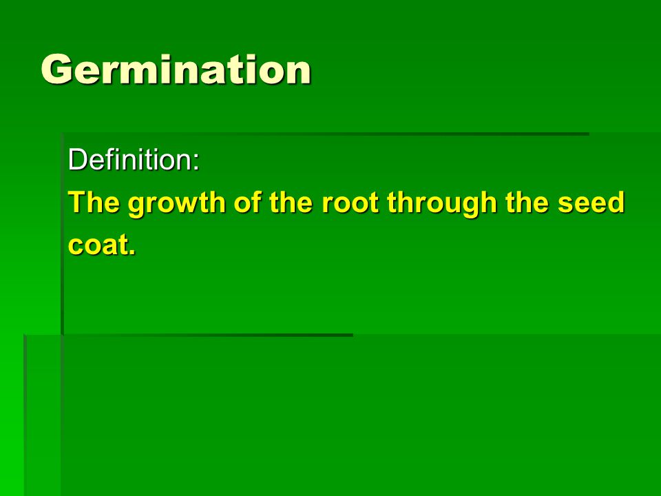 Germination Definition: The growth of the root through the seed coat.