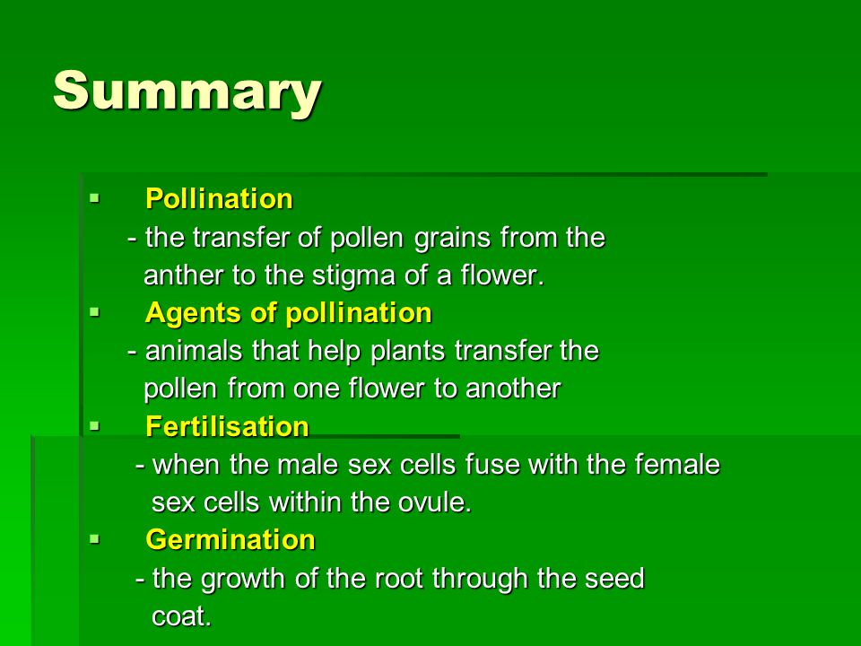 Summary  Pollination - the transfer of pollen grains from the - the transfer of pollen grains from the anther to the stigma of a flower.