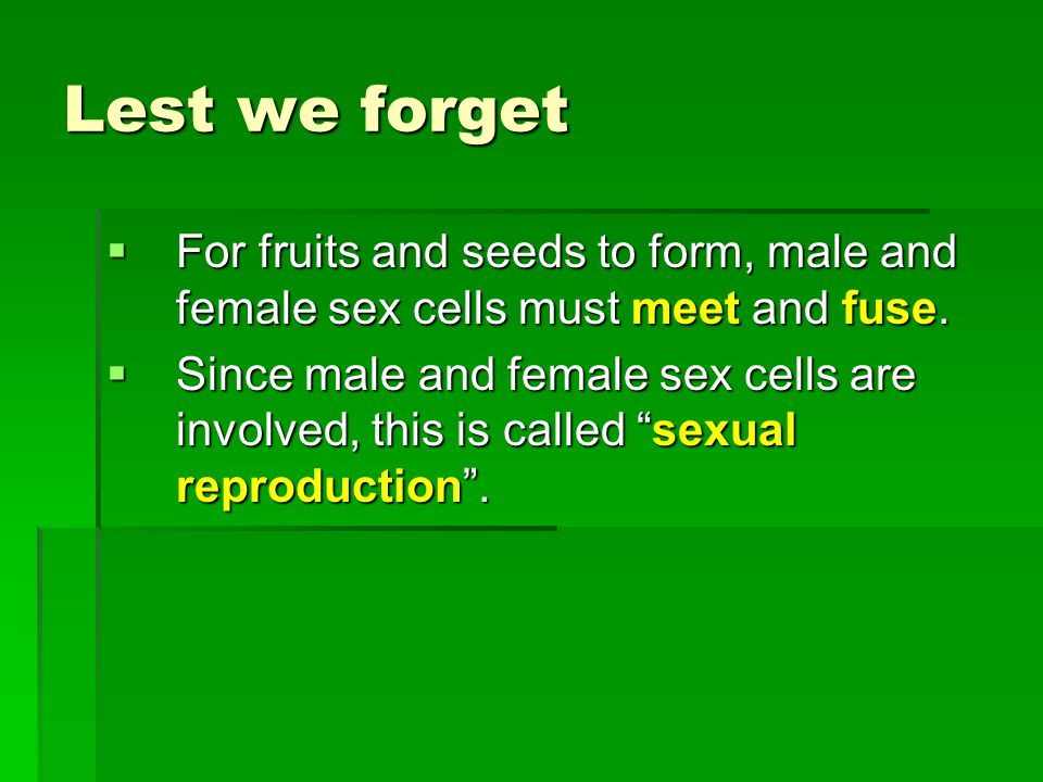Lest we forget  For fruits and seeds to form, male and female sex cells must meet and fuse.