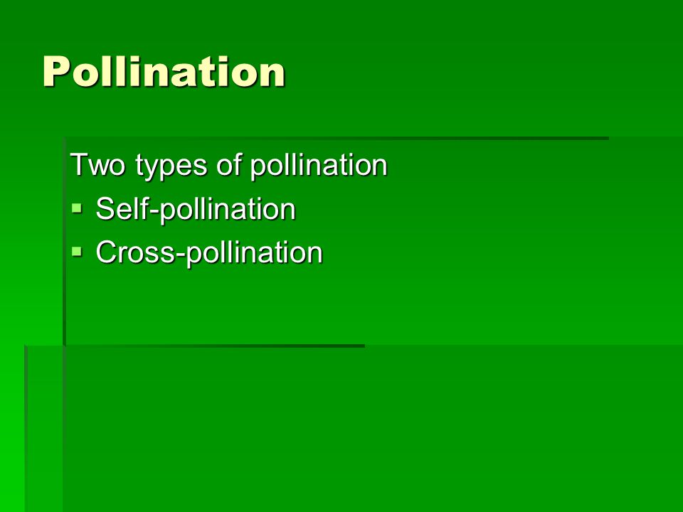 Pollination Two types of pollination  Self-pollination  Cross-pollination