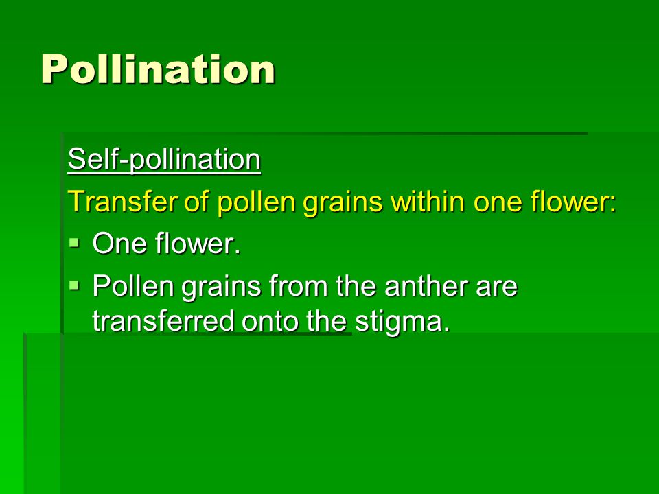 Pollination Self-pollination Transfer of pollen grains within one flower:  One flower.