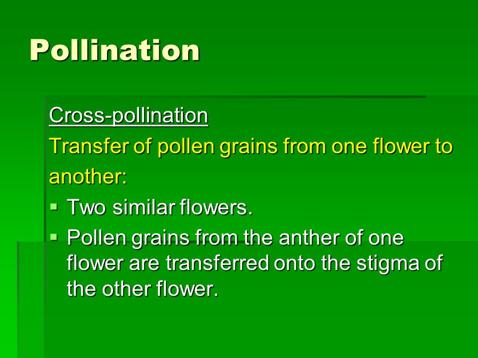 Pollination Cross-pollination Transfer of pollen grains from one flower to another:  Two similar flowers.