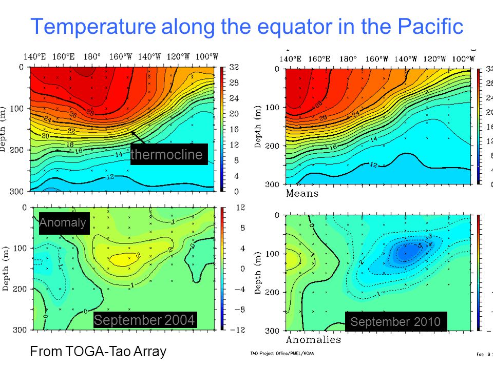 From TOGA-Tao Array Anomaly September 2004 thermocline Temperature along the equator in the Pacific September 2010