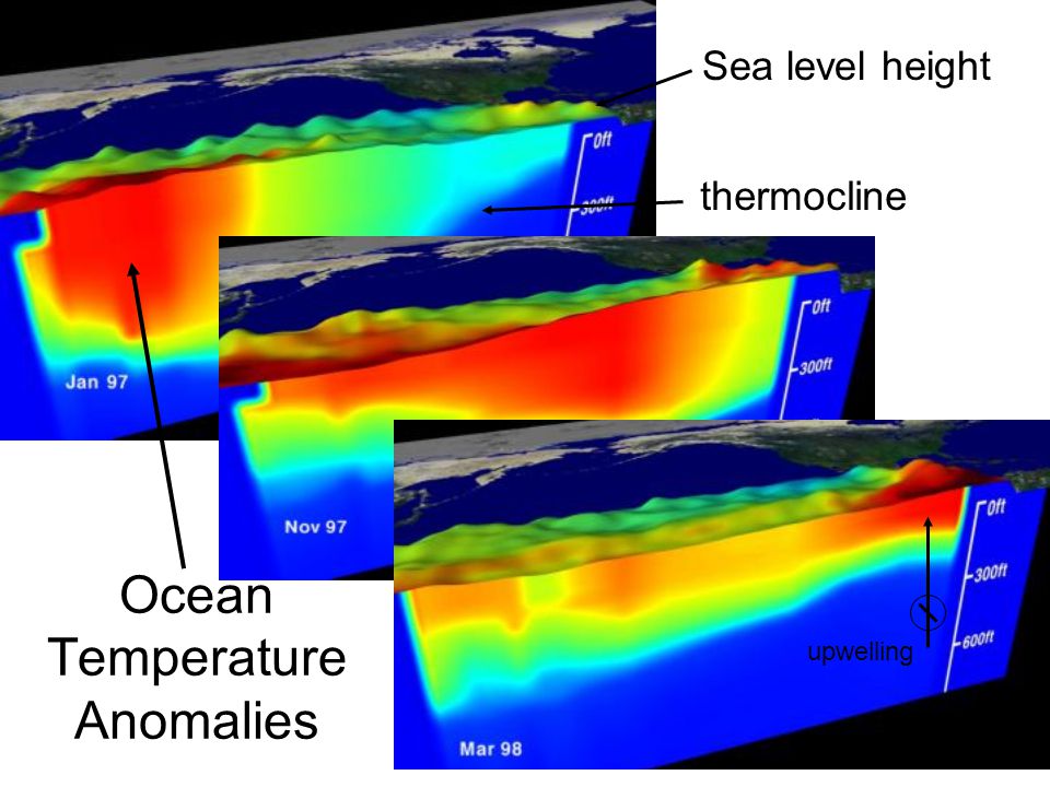 Thermocline Ocean Temperature Anomalies Sea level height thermocline upwelling