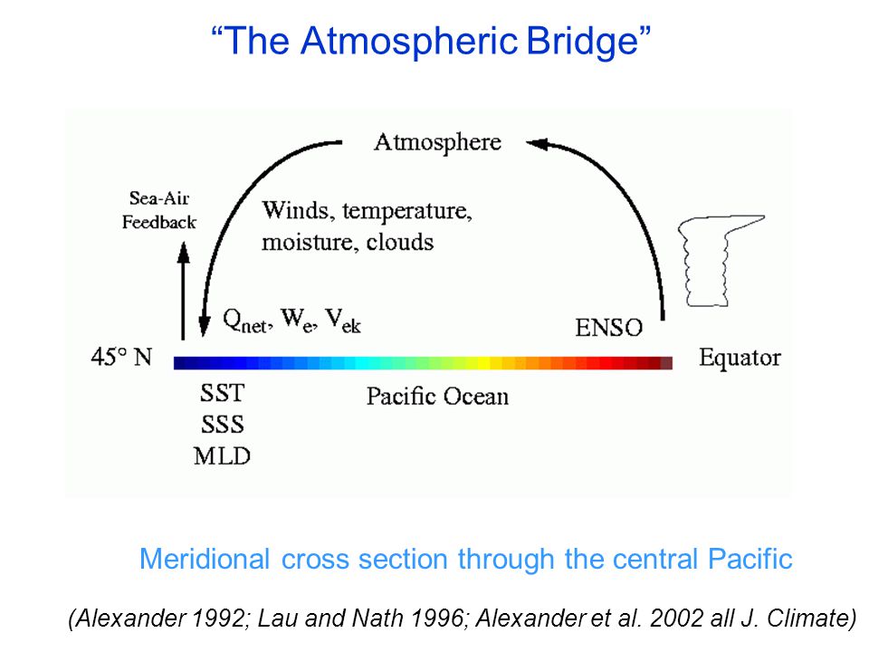 The Atmospheric Bridge Meridional cross section through the central Pacific (Alexander 1992; Lau and Nath 1996; Alexander et al.