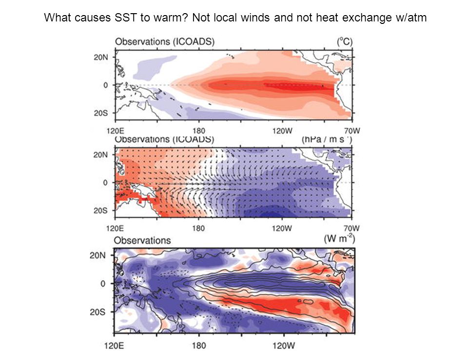 What causes SST to warm Not local winds and not heat exchange w/atm