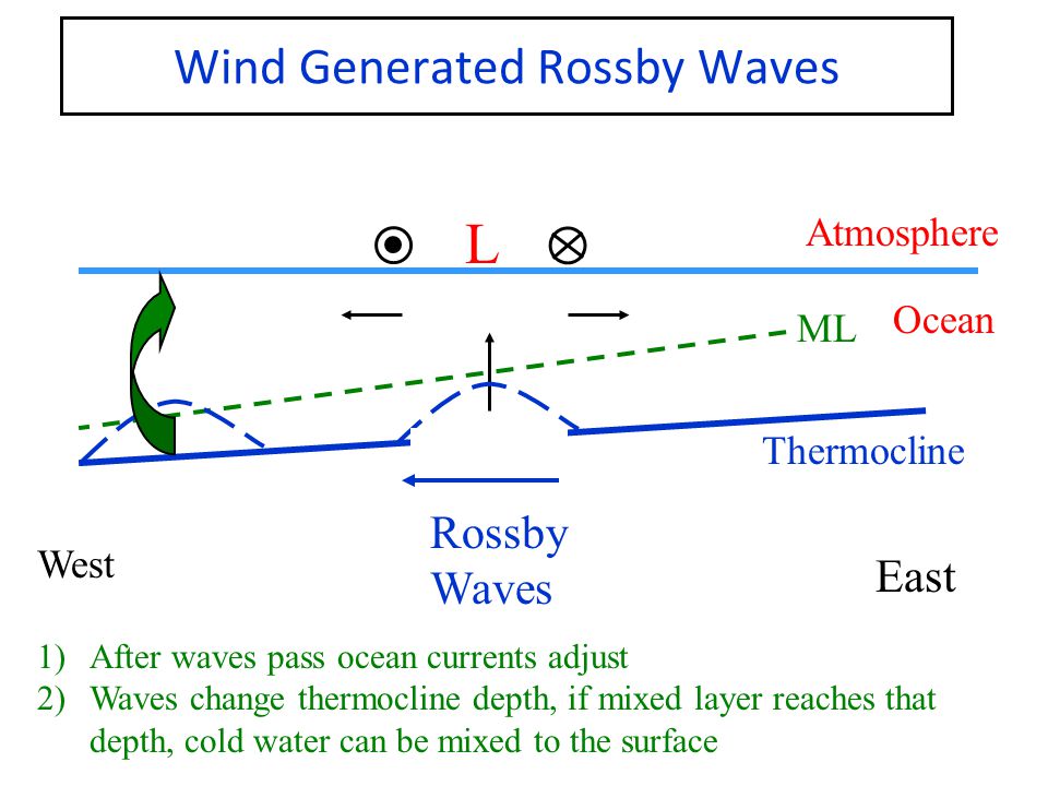 Wind Generated Rossby Waves West East Atmosphere Ocean Thermocline ML L Rossby Waves 1)After waves pass ocean currents adjust 2)Waves change thermocline depth, if mixed layer reaches that depth, cold water can be mixed to the surface