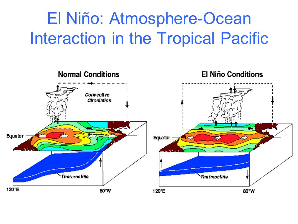 El Niño: Atmosphere-Ocean Interaction in the Tropical Pacific