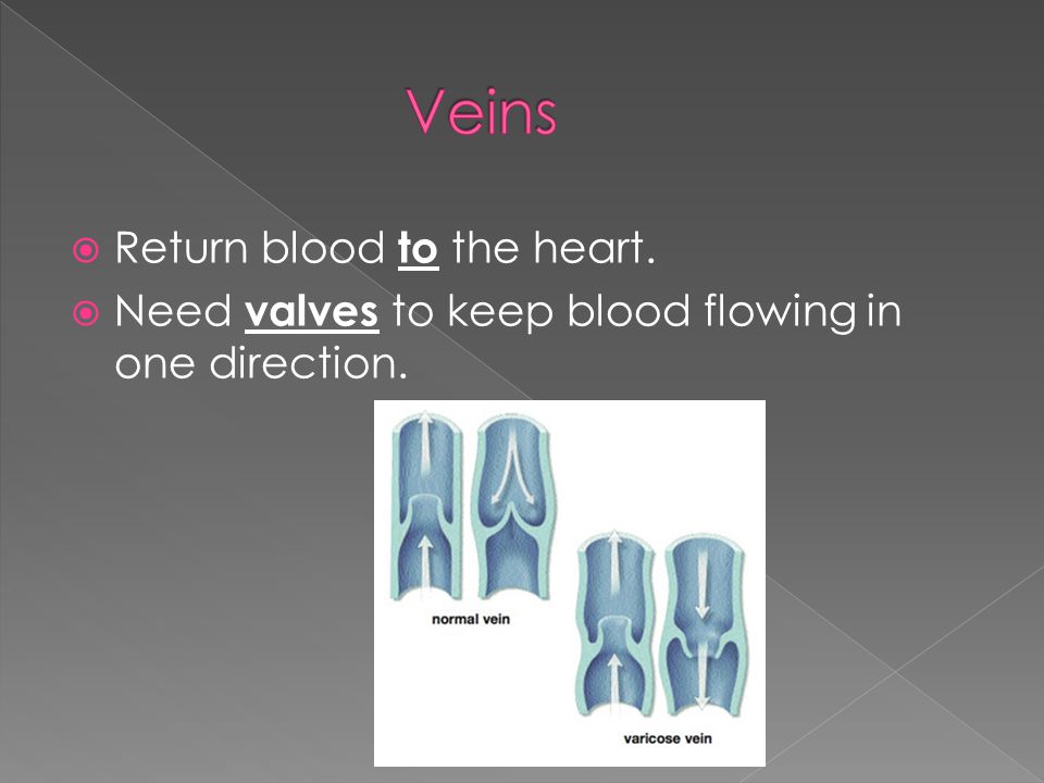  Return blood to the heart.  Need valves to keep blood flowing in one direction.