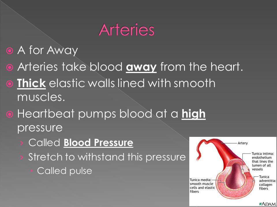  A for Away  Arteries take blood away from the heart.
