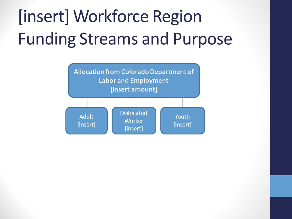 [insert] Workforce Region Funding Streams and Purpose Allocation from Colorado Department of Labor and Employment [insert amount] Adult [insert] Dislocated Worker [insert] Youth [insert]