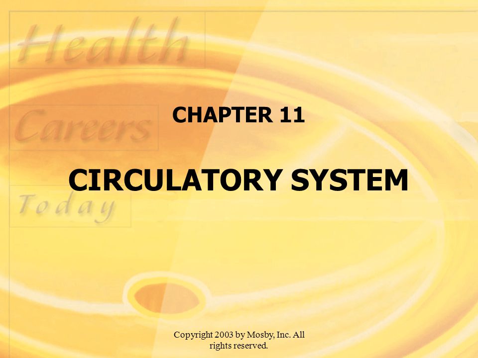 Copyright 2003 by Mosby, Inc. All rights reserved. CHAPTER 11 CIRCULATORY SYSTEM