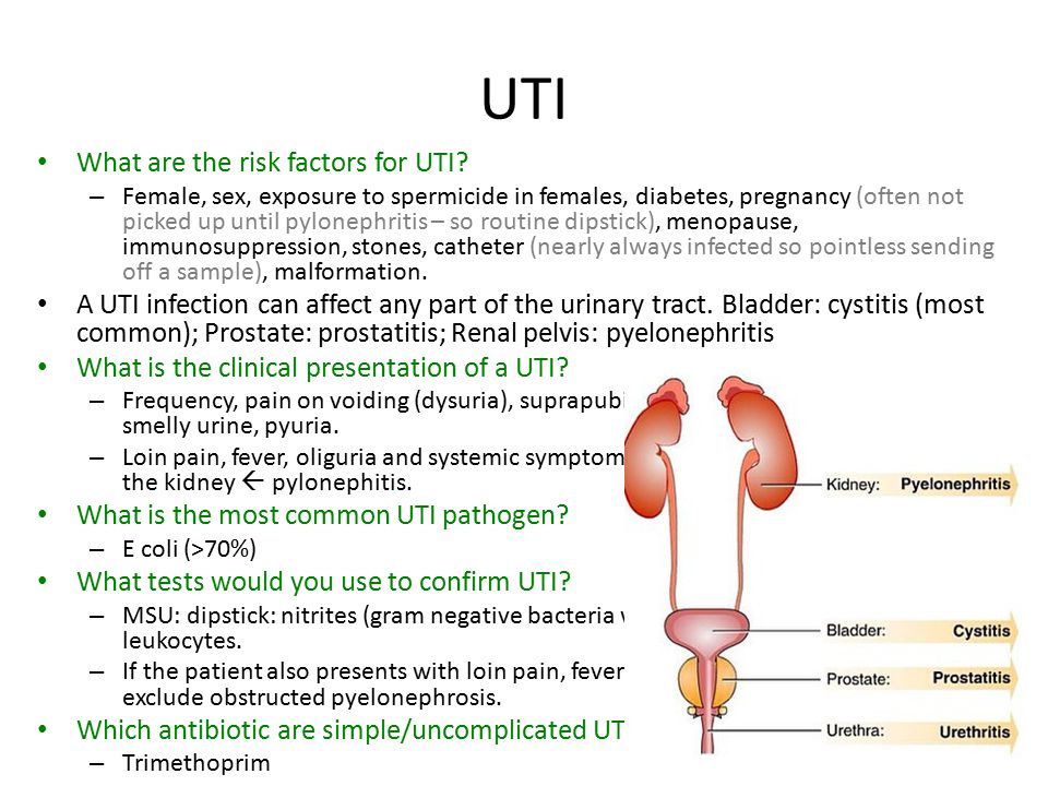Can you get a uti from sex pic 68