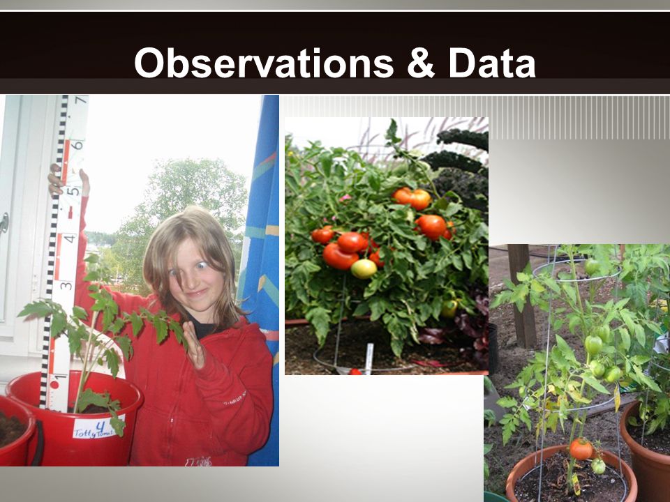 Observations & Data