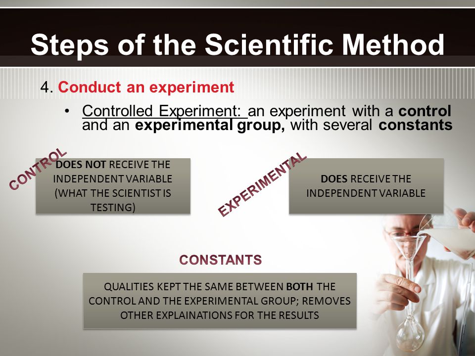 Steps of the Scientific Method 4.