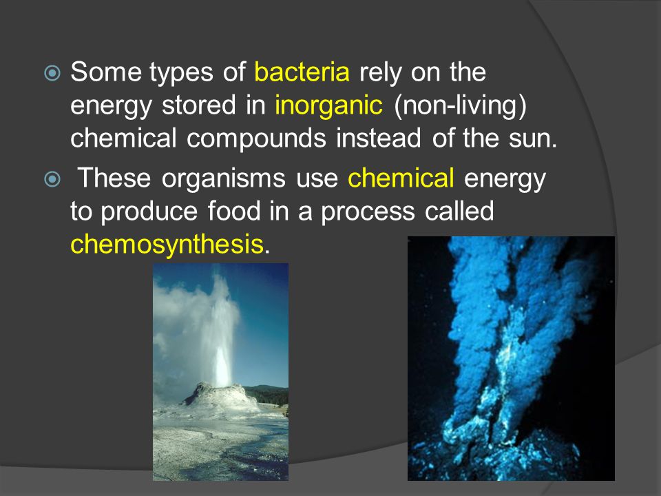  Some types of bacteria rely on the energy stored in inorganic (non-living) chemical compounds instead of the sun.