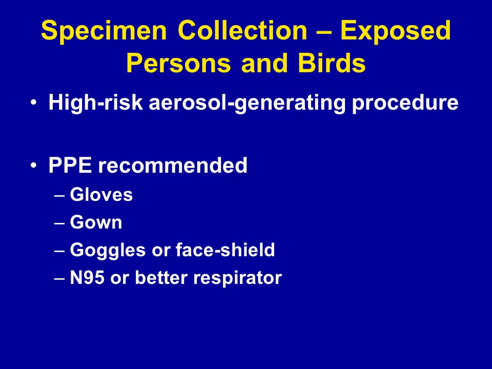 Specimen Collection – Exposed Persons and Birds High-risk aerosol-generating procedure PPE recommended –Gloves –Gown –Goggles or face-shield –N95 or better respirator