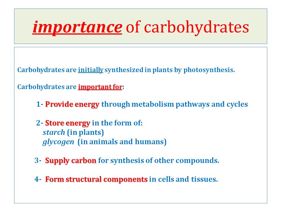 introduction to carbohydrates importance of carbohydrates plants store energy in the form of