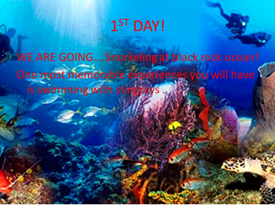 1 ST DAY. WE ARE GOING….Snorkeling at black rock ocean.