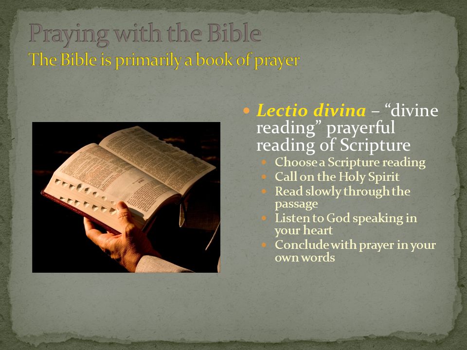 Lectio divina – divine reading prayerful reading of Scripture Choose a Scripture reading Call on the Holy Spirit Read slowly through the passage Listen to God speaking in your heart Conclude with prayer in your own words