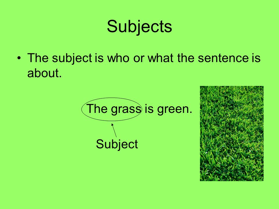 Subjects The subject is who or what the sentence is about. The grass is green. Subject